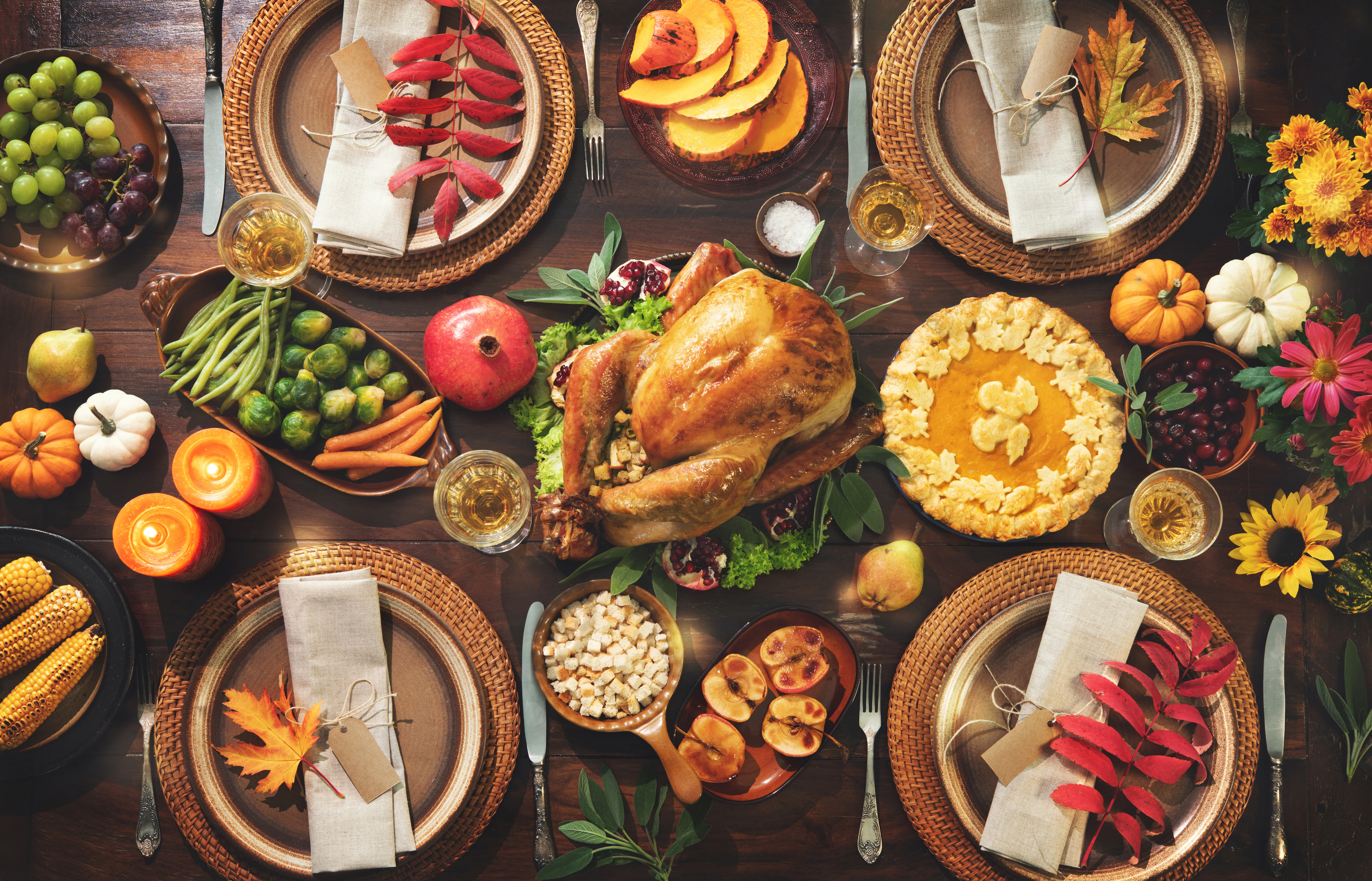 Happy Thanksgiving from SCUDO! Tips for Entertaining your Guests for Thanksgiving